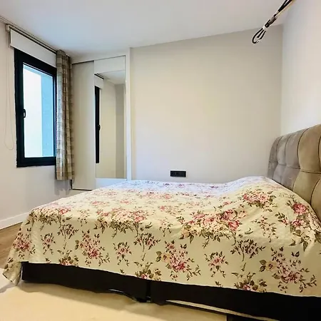 Апартаменты Bagla Denize Sifir Bahce Kat 2+1 Daire